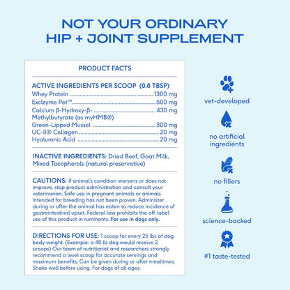Native Pet Advanced Care - Hip & Joint Supplement for Dogs - Supports Joints, Cartilage, Muscles & Anti-Inflammatory with HMB, UC-II Collagen, Green Lipped Mussel & Hyaluronic Acid - 60 Scoops
