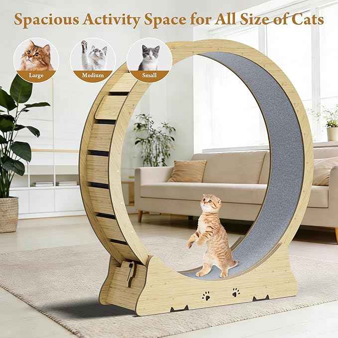 Large Cat Exercise Wheel, Quiet 48" Cat Treadmill for Indoor Cats, Running Wheel with Carpeted Runway & Stability Base, Ideal for Multiple Cats & Large Breeds for Fitness & Active Play