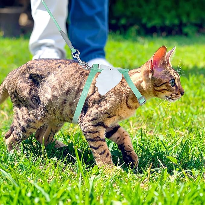 Cat Harness and Leash for Walking Escape Proof Adjustable Soft Harnesses and Leash Set Easy to Wear Kitten Harness for Travel Training and Walking(Green)