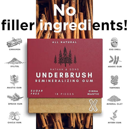 Underbrush Cinna-Mastic Remineralizing Gum, Sugar Free Xylitol Gum With Hydroxyapatite, Supports Fresh Breath and Oral Health, Tree Sap Base, Gluten Free, No Sucralose or Aspartame, 4 Pack