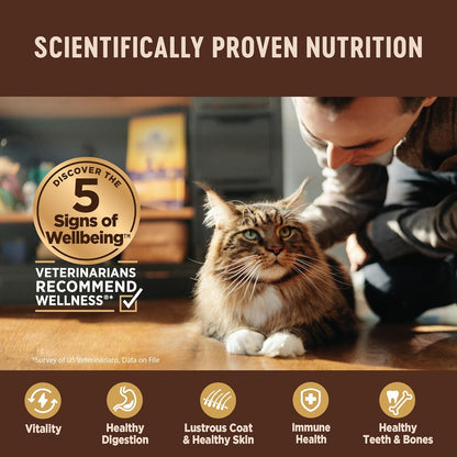Wellness CORE+ Digestive Health Pate Adult Wet Cat Food, Natural, Protein-Rich, Grain Free, 3 Ounce, 12 Pack (Salmon)