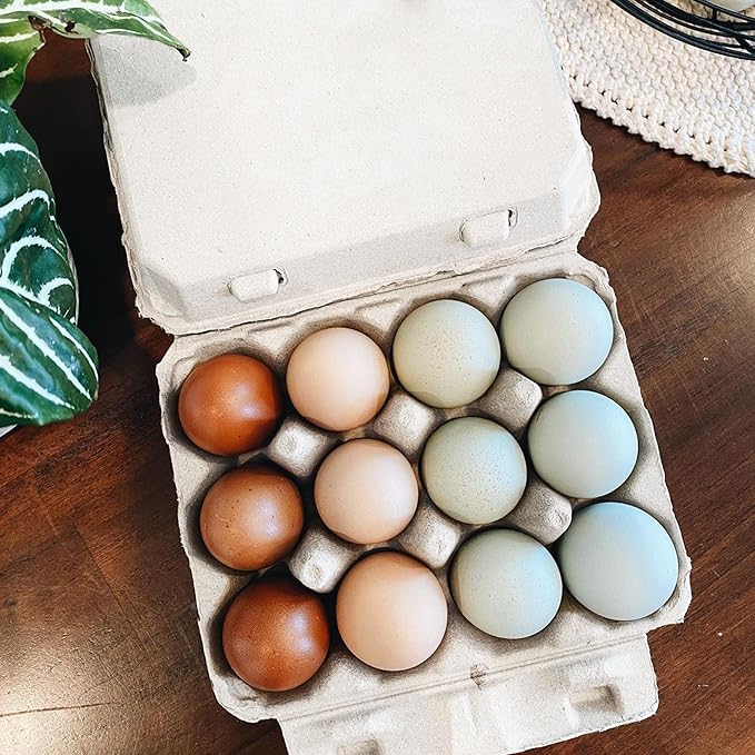 Vintage Egg Cartons for 12 Large Eggs – Classic 3x4 Layout – Durable Recycled Cardboard – Farmhouse Style – Eco-Friendly Packaging - White 75 Pack
