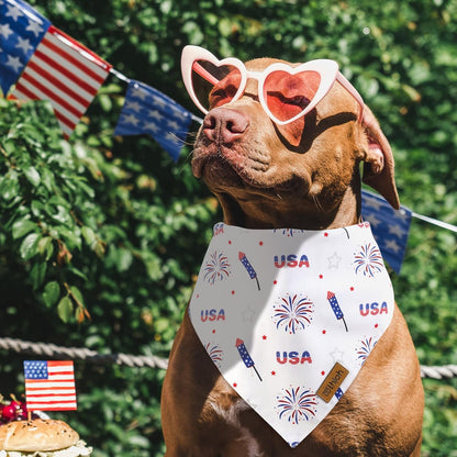 4th of July Dog Bandanas - 2 Pack Reversible American Flag Pet Scarf for Boy and Girl | Premium Durable Fabric | USA Patriotic Bandana for Small Medium Large and Extra Large Dogs (Small)