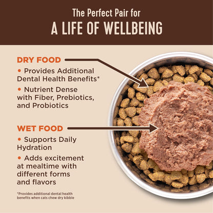 Wellness CORE+ Hairball Adult Dry Cat Food for Indoor & Outdoor Cats, Grain Free, Natural, Chicken and Chicken Meal (4.75 Pound Bag)