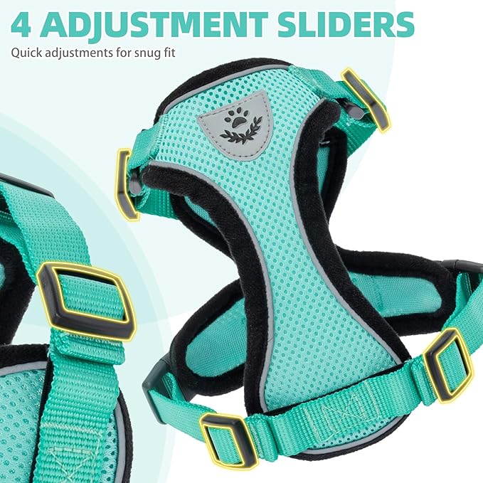 PUPTECK Cat Harness and Leash Set Escape Proof Reflective Cat Walking Harness Adjustable Soft Breathable Mesh Vest for Small Pets, Aquamarine, L