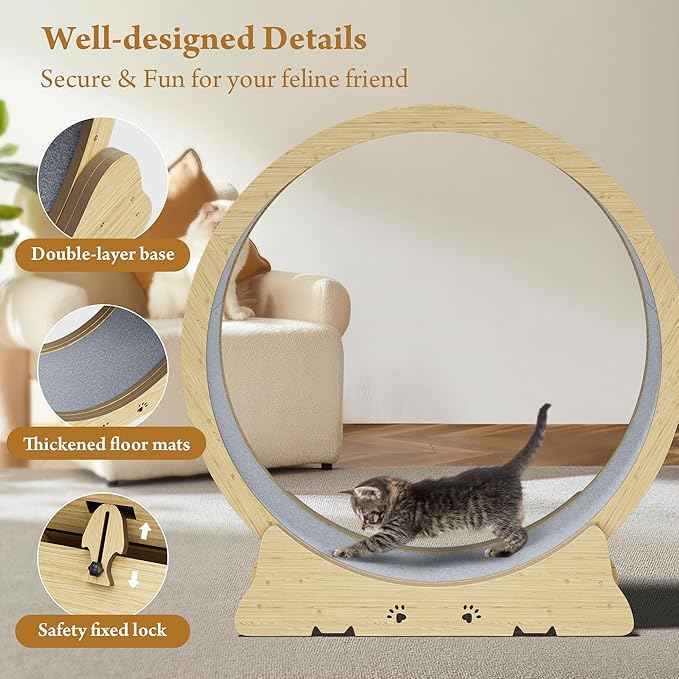 Large Cat Exercise Wheel, Quiet 48" Cat Treadmill for Indoor Cats, Running Wheel with Carpeted Runway & Stability Base, Ideal for Multiple Cats & Large Breeds for Fitness & Active Play