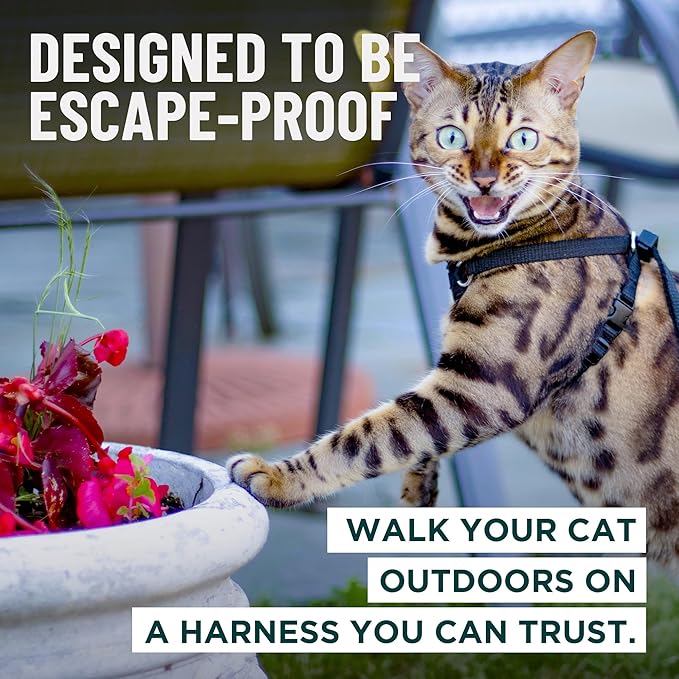 Houdini™ Escape Proof Cat Harness and Leash Set by OutdoorBengal – Tactical Vest for Walking – Extra Large, Adjustable, Long - Houdini Cat Harness Escape Proof for Large Cats + Leash (Pink, XL)