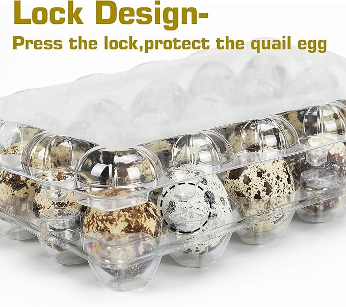50 Pack Small Plastic Egg Cartons - Clear 2 Dozen Quail Eggs Tray - Reusable Storage Holder for Small, Pheasant, Pigeon Eggs