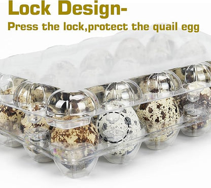 50 Pack Small Plastic Egg Cartons - Clear 2 Dozen Quail Eggs Tray - Reusable Storage Holder for Small, Pheasant, Pigeon Eggs