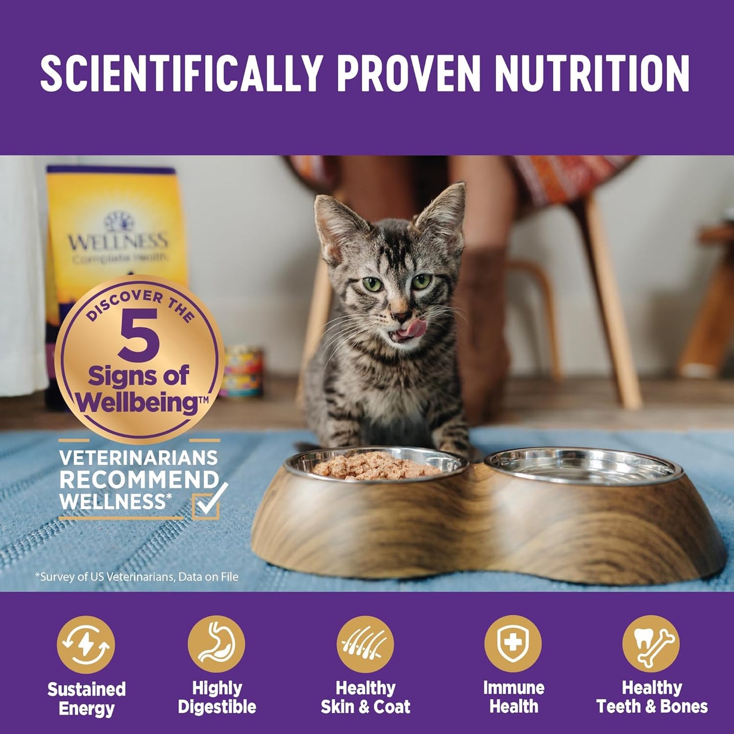 Wellness Complete Health Pate Adult Wet Cat Food, Natural, Protein-Rich, Grain Free, 5.5 Ounce, 24 Pack, (Chicken)