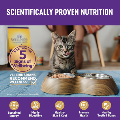 Wellness Complete Health Minced Adult Wet Cat Food, Natural, Protein-Rich, Grain Free, 3 Ounce , 24 Pack, (Chicken Entrée)