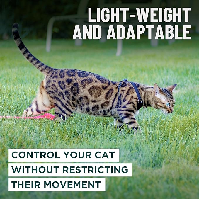 Houdini™ Escape Proof Cat Harness and Leash Set by OutdoorBengal – Tactical Vest for Walking – Extra Large, Adjustable, Long - Houdini Cat Harness Escape Proof for Large Cats + Leash (Pink, XL)