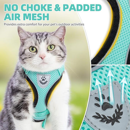 PUPTECK Cat Harness and Leash Set Escape Proof Reflective Cat Walking Harness Adjustable Soft Breathable Mesh Vest for Small Pets, Aquamarine, L