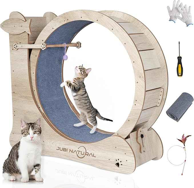 Cat Exercise Wheel, 35.9" Cat Running Wheels for Indoor Cats with with Locking Mechanism, Cats Treadmill Wheels with Scratching Board and Teaser Toy, Cat's Weight Loss and Health