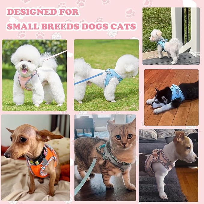 Dog Harness and Leash Set, No Pull Adjustable Reflective Pet Harness for Small Medium Dogs, Step in Vest Harness Easy Walk Dog Harness Outdoor Hiking Training for Small Medium Dogs, Cats(Orange, S)