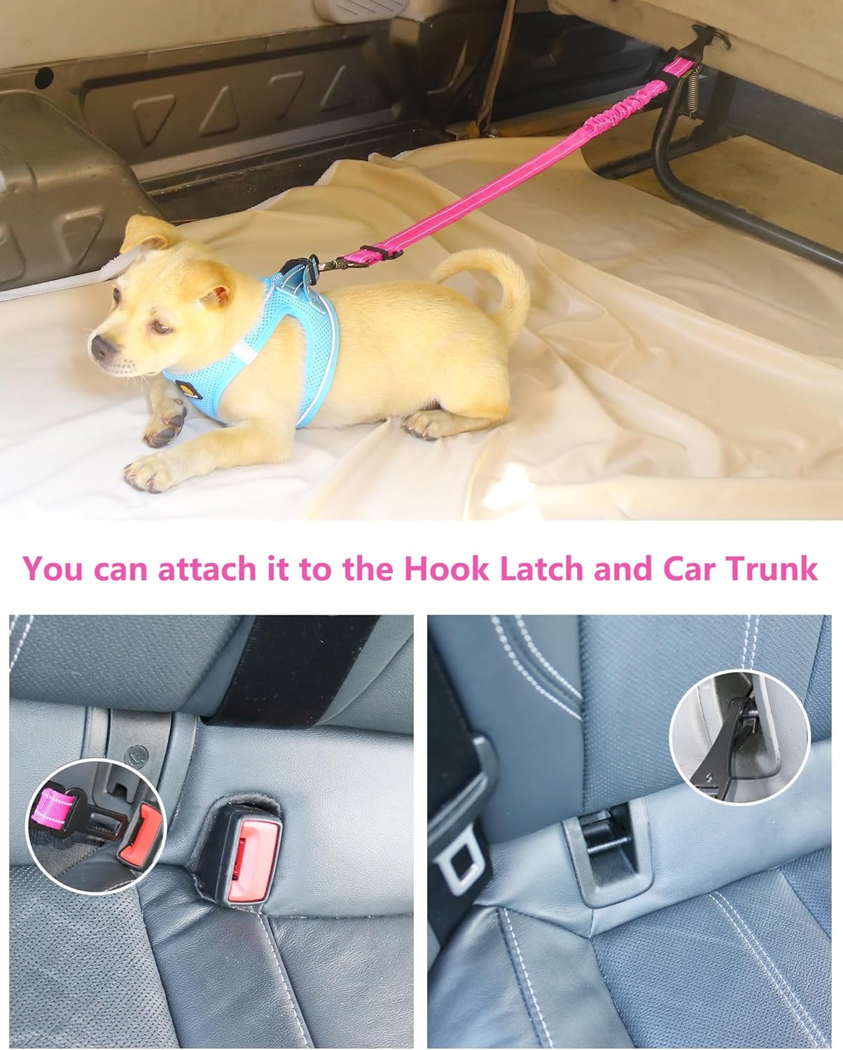 AUBELL Dog Seat Belt for Car,2 Pack Set 3-in-1 Adjustable Reflective Bungee Heavy Duty Dog Car Harness Tether with Clip Hook Latch & Buckle,Swivel Zinc Alloy Carabiner,Black+Hotpink