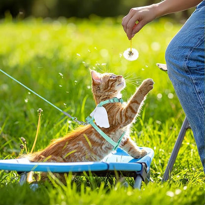 Cat Harness and Leash for Walking Escape Proof Adjustable Soft Harnesses and Leash Set Easy to Wear Kitten Harness for Travel Training and Walking(Green)