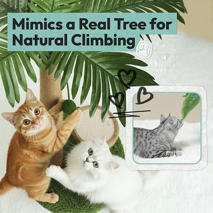 Cat Scratching Post 33 Inch Palm Tree with Hanging Balls and Coconut Straw Toy, Cat Scratcher for Indoor Kittens, Extra Stable Base, Paw-Friendly Jute Material, L