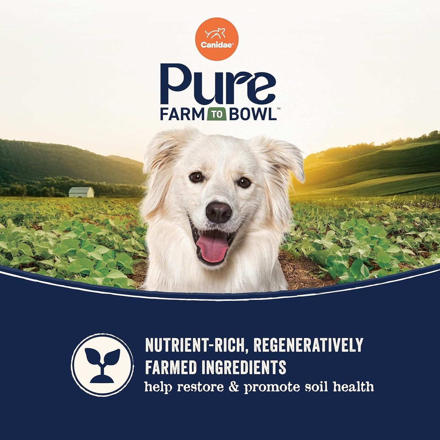 CANIDAE Pure Farm to Bowl Pasture-Raised Lamb & Brown Rice Dog Food, Adult Dog Food, 4lb