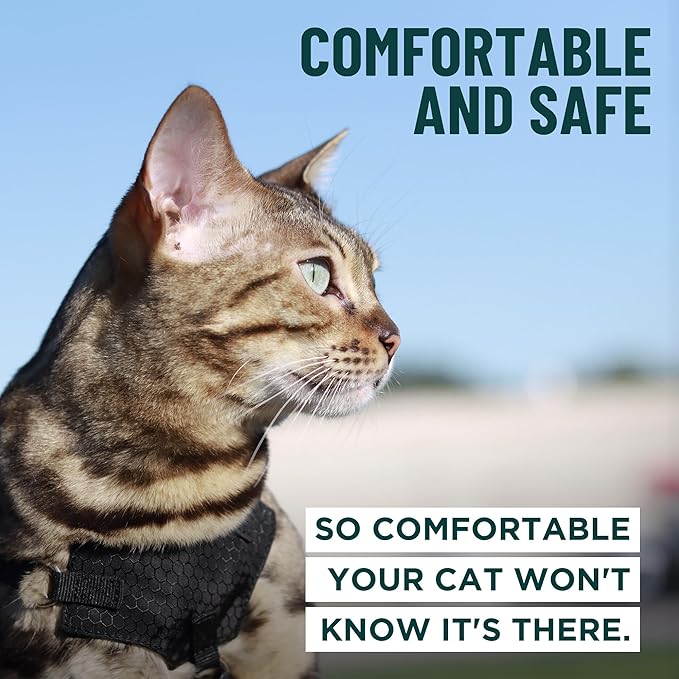 Houdini™ Escape Proof Cat Harness and Leash Set by OutdoorBengal – Tactical Vest for Walking – Extra Large, Adjustable, Long - Houdini Cat Harness Escape Proof for Large Cats + Leash (Pink, XL)