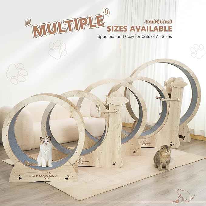Cat Exercise Wheel, 43" Cat Running Wheel for Indoor Cats with Quiet Carpeted Runway, Cats Treadmill Wheels with Locking Mechanism, Cat's Weight Loss and Health