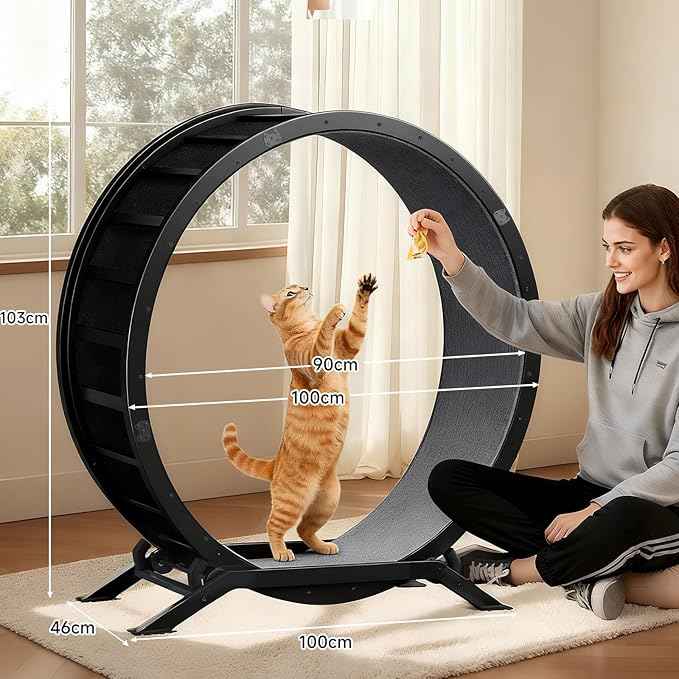 GTRACING Cat Wheels, 40" Diameter, Large Cat Exercise Wheel for Indoor Cats cat Treadmill Metal with Detachable Carpet & Teaser/Stickers, Ultra-Quiet Scroll Wheel with Latch, Safe and Stable, Black