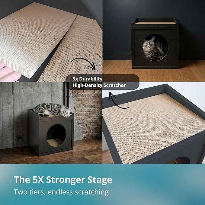 Meowdium Cat House – Cat Condo with Cardboard Scratcher, Scratching Post, Bed & Toy Storage, Cozy Cat Furniture & Accessories for Indoor Cats, Blackwood