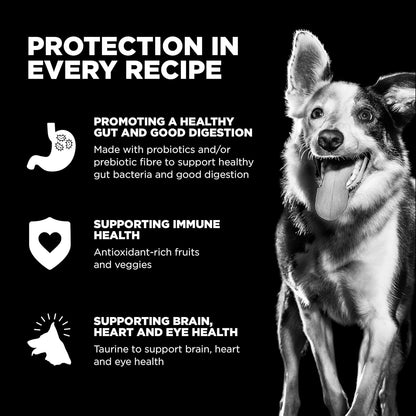 Go! Solutions Sensitivities Limited Ingredients, Grain-Free Dry Dog Food, Duck Recipe for Sensitive Stomach, 22 lb Bag