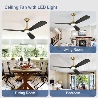 Bvenubiglite Modern Ceiling Fan With Light: Black And Gold Ceiling Fans With Remote And Smart App Control 3 Blades - 52 Inch Cei