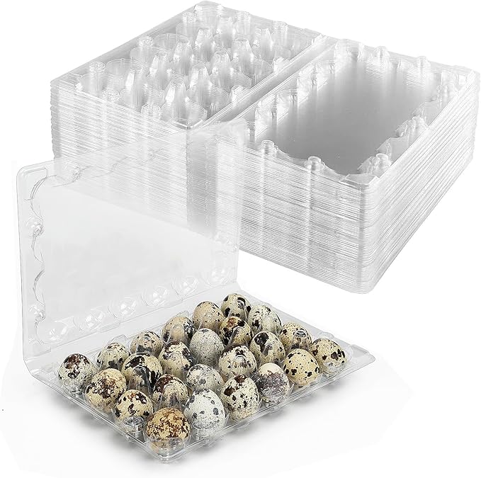 50 Pack Small Plastic Egg Cartons - Clear 2 Dozen Quail Eggs Tray - Reusable Storage Holder for Small, Pheasant, Pigeon Eggs