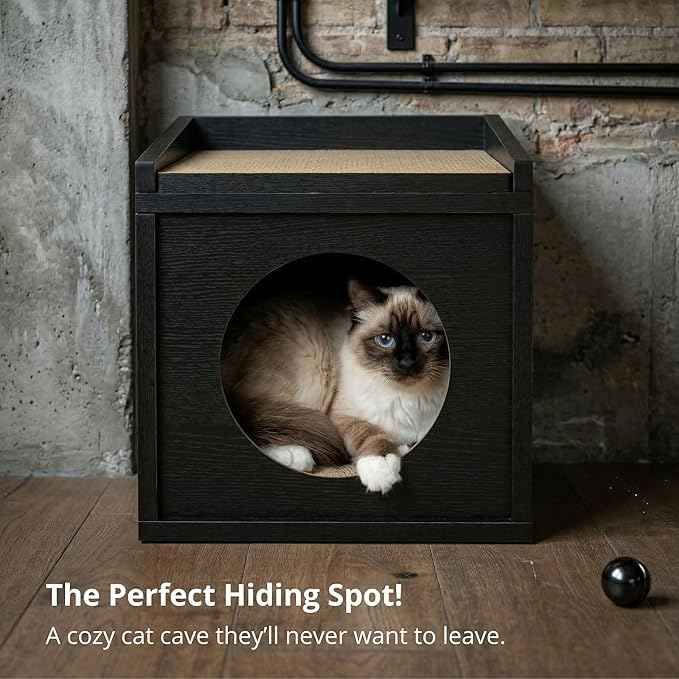 Meowdium Cat House – Cat Condo with Cardboard Scratcher, Scratching Post, Bed & Toy Storage, Cozy Cat Furniture & Accessories for Indoor Cats, Blackwood