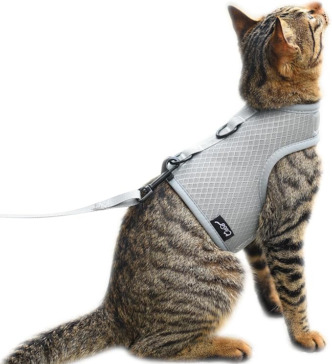 Kitty Harness and Leash for Walking Escape Proof Breathable Mesh Fabric, Solid Grey, Small, Adjustable Cat Walking Jackets, Padded Stylish Cat Vest