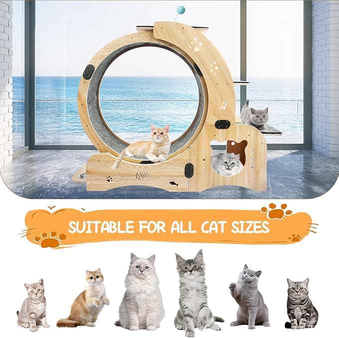 55" cat Wheel，cat Wheels for Indoor Cats，with Cat Bed, Scratching Board, Detachable Mat, Climbing Frame, Nest & Toys,6 in 1 Large Cats Treadmill，for Running/Walking/Training