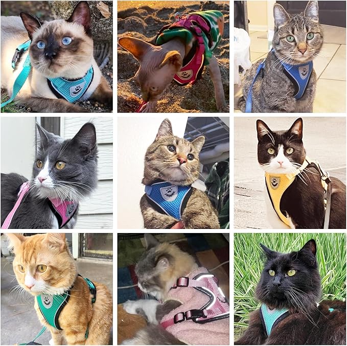 PUPTECK Cat Harness and Leash Set Escape Proof Reflective Cat Walking Harness Adjustable Soft Breathable Mesh Vest for Small Pets, Dark Green, S