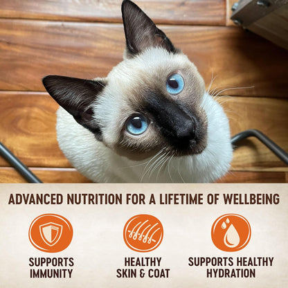 Wellness CORE Tiny Tasters Pate Adult Wet Cat Food, Natural, Protein-Rich, Grain Free, 1.75 Ounce Pouch, 12 Pack (Chicken & Beef)
