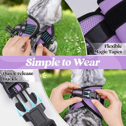 rabbitgoo Cat Harness and Leash Set for Walking Escape Proof, Adjustable Soft Kittens Vest with Reflective Strip for Cats, Comfortable Outdoor Vest, Light Purple, M