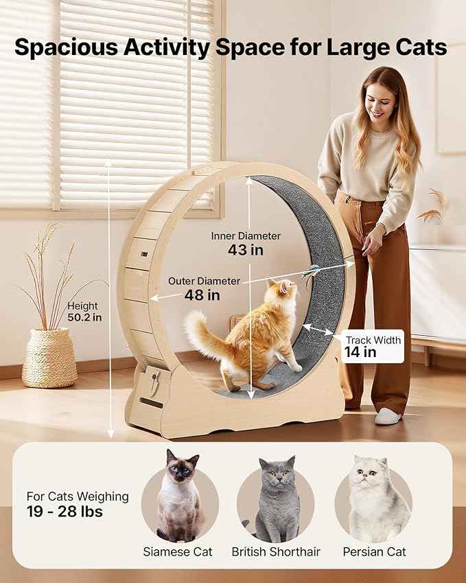 VEVOR Cat Exercise Wheel, 48 in Wooden Cat Running Wheel for Indoor Cats up to 28 lbs, Cats Treadmill with Carpeted Runway & Locking Mechanism, Quiet Roller Kitten Sport Toys for Pets Fitness & Health