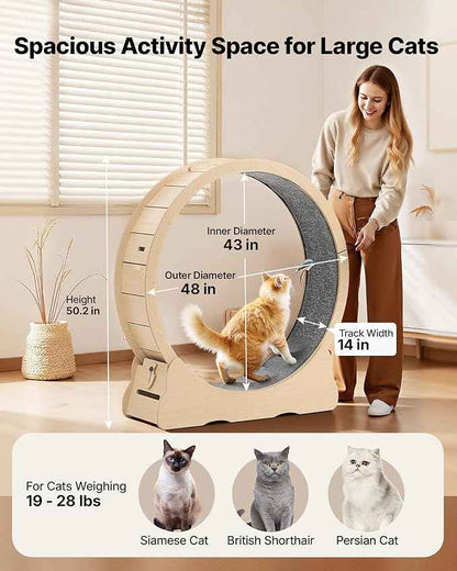 VEVOR Cat Exercise Wheel, 48 in Wooden Cat Running Wheel for Indoor Cats up to 28 lbs, Cats Treadmill with Carpeted Runway & Locking Mechanism, Quiet Roller Kitten Sport Toys for Pets Fitness & Health