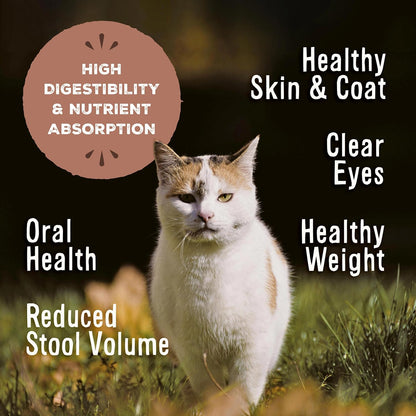 Primal Freeze Dried Raw Cat Food Nuggets Beef & Salmon, Complete & Balanced Meal or Topper, Premium, Healthy, Grain Free, High Protein Raw Cat Food with Probiotics (14 oz)