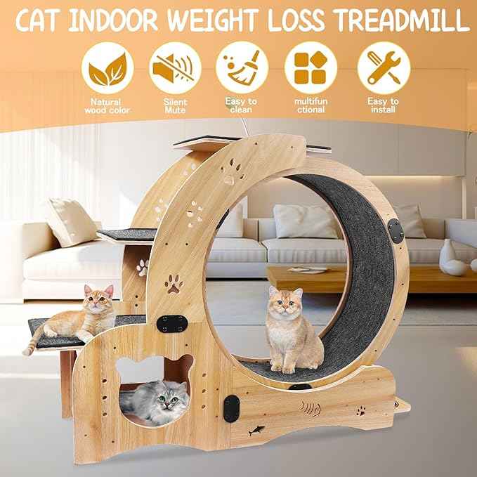 55" cat Wheel，cat Wheels for Indoor Cats，with Cat Bed, Scratching Board, Detachable Mat, Climbing Frame, Nest & Toys,6 in 1 Large Cats Treadmill，for Running/Walking/Training