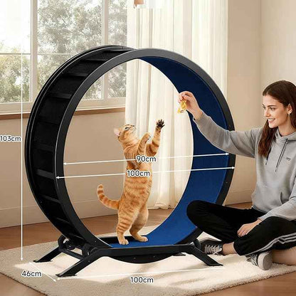 GTRACING Cat Wheels, 40" Diameter, Large Cat Exercise Wheel for Indoor Cats cat Treadmill Metal with Detachable Carpet & Teaser/Stickers, Ultra-Quiet Scroll Wheel with Latch, Safe and Stable, Blue