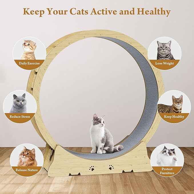 Large Cat Exercise Wheel, Quiet 48" Cat Treadmill for Indoor Cats, Running Wheel with Carpeted Runway & Stability Base, Ideal for Multiple Cats & Large Breeds for Fitness & Active Play