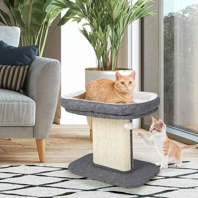 Tangkula Cat Tree for Indoor Cats, 2-Tier Cat Tower with Top Perch & Sisal Scratching Panel & Jingling Fur Ball Toy, Cozy Cat Bed with Scratching Post, Modern Small Kitten Activity Center (Grey)