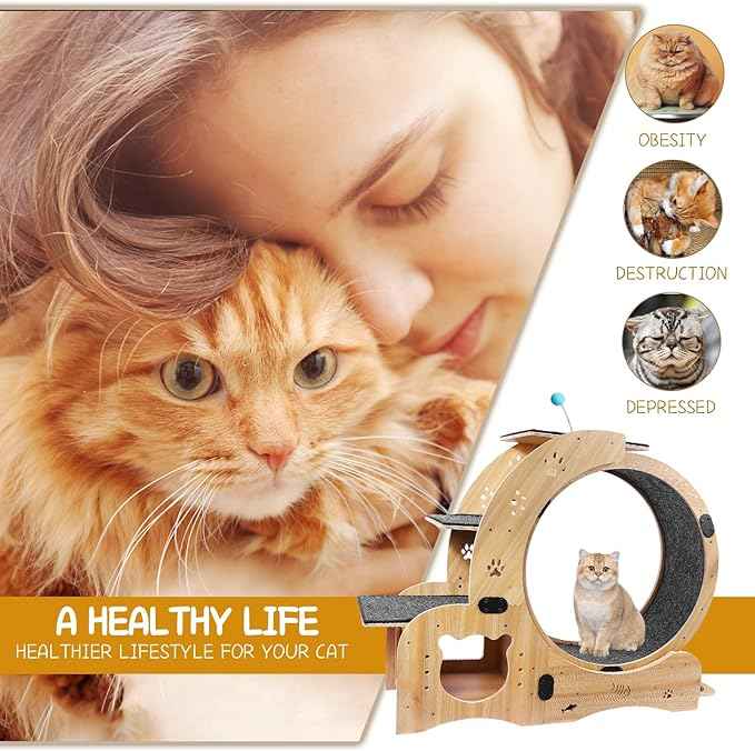 55" cat Wheel，cat Wheels for Indoor Cats，with Cat Bed, Scratching Board, Detachable Mat, Climbing Frame, Nest & Toys,6 in 1 Large Cats Treadmill，for Running/Walking/Training