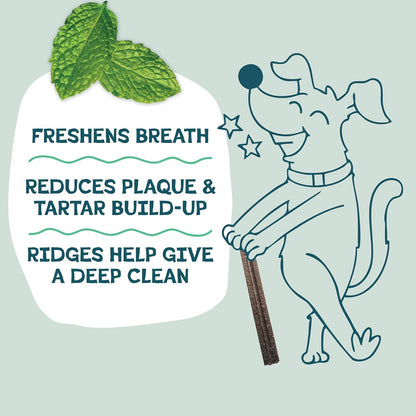 Shameless Pets Dental Treats for Dogs, Variety (4-Pack) - Healthy Sticks for Teeth Cleaning & Fresh Breath - Dog Bones Dental Chews Free from Grain, Corn & Soy