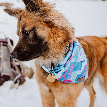 Wilderdog Dog Bandana with Lightweight Quick Drying Poly-Blend Mesh Material in Alpenglow