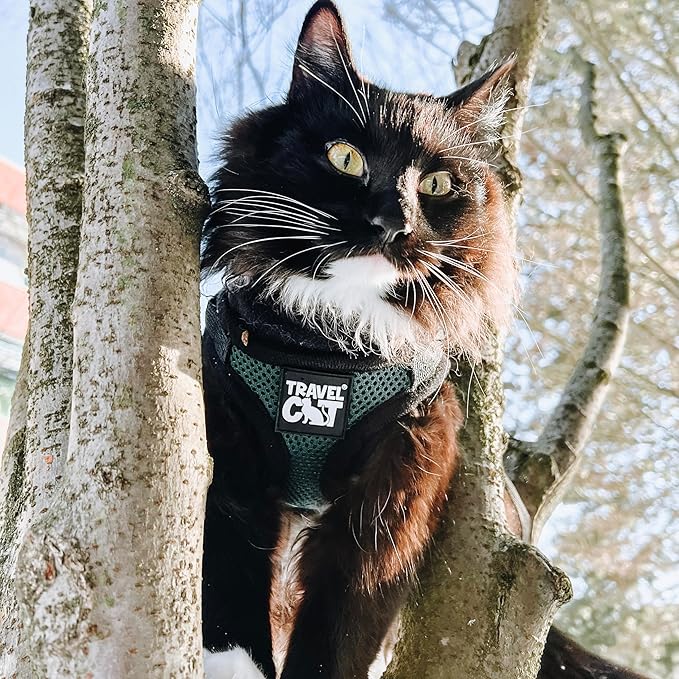 Travel Cat The Emerald Explorer Limited Edition Green Harness and Leash Set - Adjustable Fit Mesh Cat Harness with Reflective Strap - Escape Proof Harness for Cats, Kitten (Large)