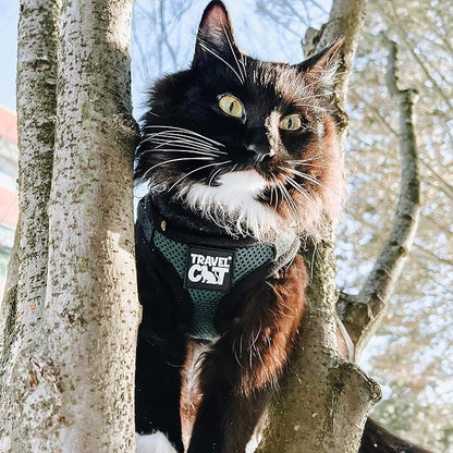 Travel Cat The Emerald Explorer Limited Edition Green Harness and Leash Set - Adjustable Fit Mesh Cat Harness with Reflective Strap - Escape Proof Harness for Cats, Kitten (Large)