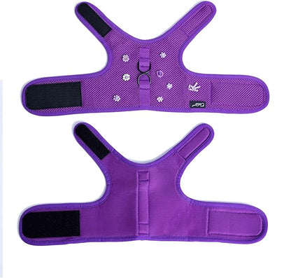 Cat Harness and Leash for Walking Escape Proof Breathable Mesh Fabric, Purple, Medium, Adjustable Cat Walking Jackets with DIY Beads, Padded Stylish Cat Vest