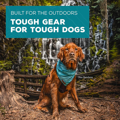 Wilderdog Dog Bandana with Lightweight Quick Drying Poly-Blend Mesh Material in Evergreen